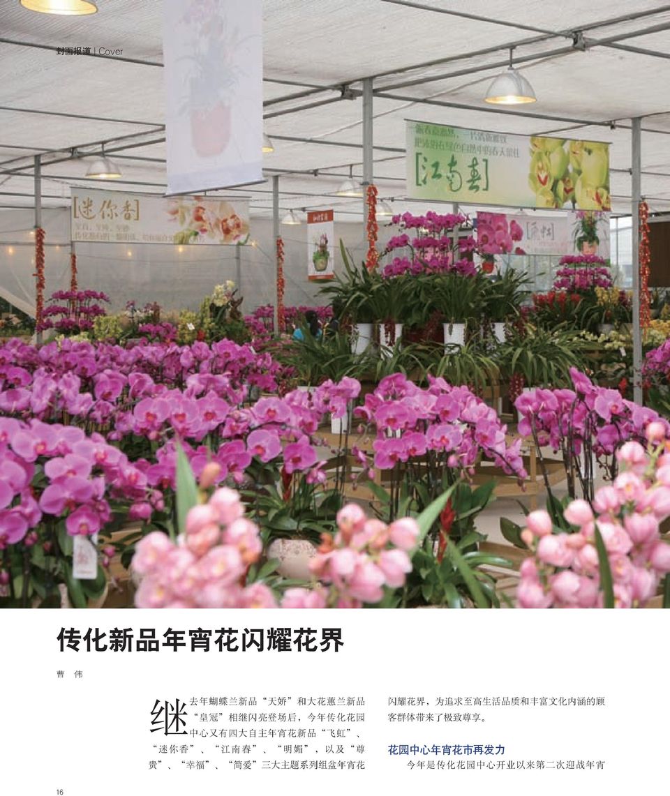 客群体带来了极致尊享 迷你香 江南春 明媚 以及 尊 花园中心年宵花市再发力
