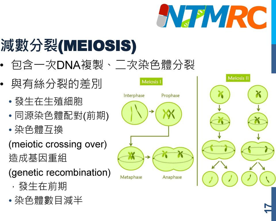 期 ) 染 色 體 互 換 (meiotic crossing over) 造 成 基 因 重 組