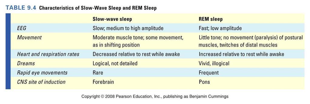 Slow Wave and REM Sleep There are two phases of sleep whose names depend on whether or not the eyes move behind the closed eyelids: NREM (non-rapid eye movement) 非快速動眼期 and