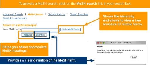 5.4 MeSH (Medical Search Heading, ) MeSH MeSH MeSH