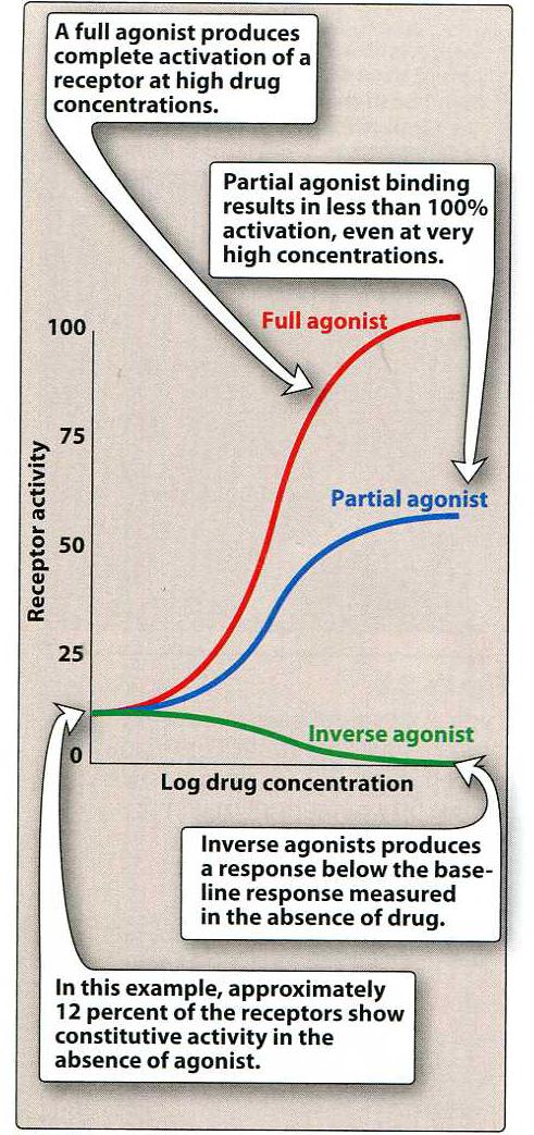 药物的作用机制 作用于受体的药物 亲和力 内在活性 激动药 (agonist) 有 有 (100%) 部分激动药 有 弱 (0~100%) 生理效应