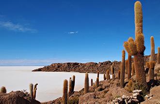 公尺的安第斯山高原上, 是一個乾的鹽湖, 也是世界上最大的鹽湖, 長約 250 公里, 寬約 130 公里, 面積