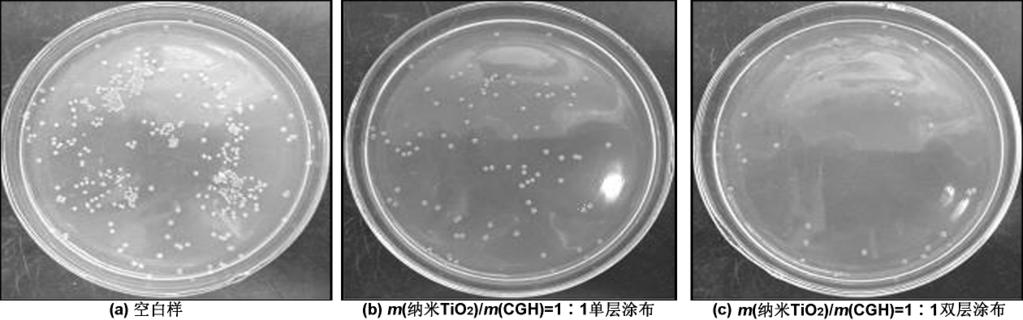 :TiO2/ 2419 8(c) 9(c) m( )/m(cgh) 10 11 /CGH 1 1, 30 21CFU 8 Fig8Antibacterialpropertiesofcoatedpapertoescherichiacoli 10 9
