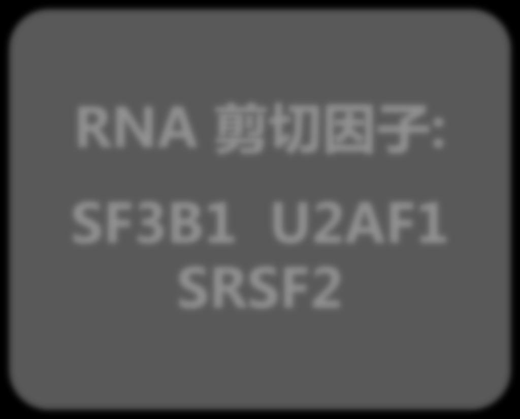 U2AF1 SRSF2 DNA损伤修复
