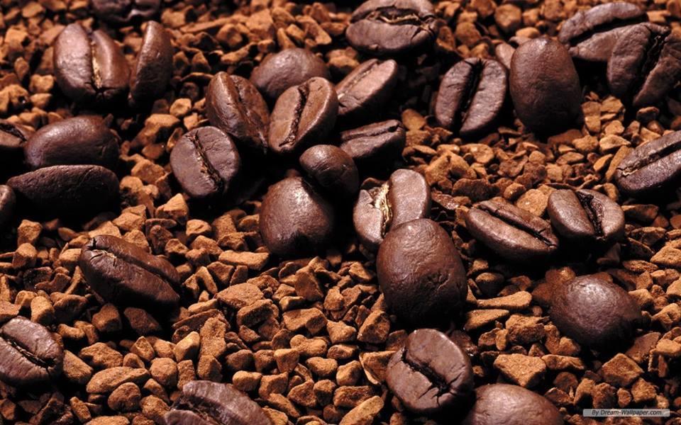 2.1.10 目前常見的咖啡品種 阿拉比加種 (ARABICA): 這是最早發現的品種, 由衣索比亞開始發展出來, 較不耐低溫及乾旱, 顆粒較大,