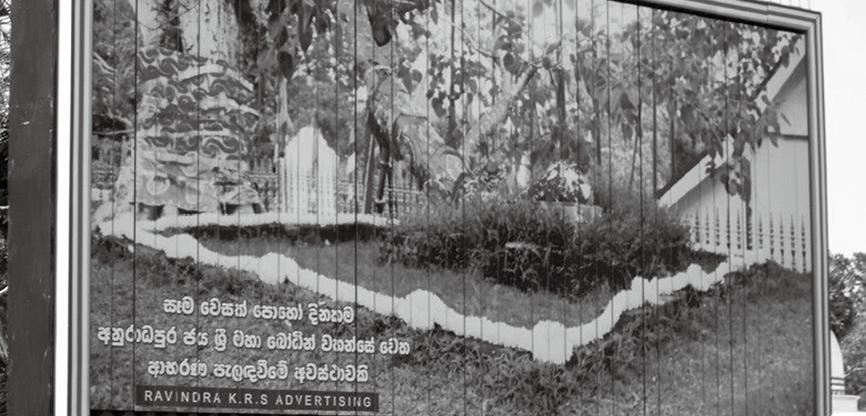 菩薩凝視的島嶼 文 圖 / 釋長叡 ( 福嚴佛學院教師 ) 2014 年 2 月 9 日, 趁斯里蘭卡的法師同學回常住之便, 與 YW 法師同行, 作參訪之旅 在抵達可倫坡與兩位本地法師會和後, 我們雇了一部廂型車往北走, 到 Anuradhapura( 聖菩提樹 ),Mihintale( 摩哂陀 Mahinda 尊者初傳佛法處 ),Sigiriya( 獅子岩 ),Aukana(
