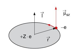 3. 电子自旋和自旋 - 轨道相互作用 自旋 - 轨道相互作用 自旋 - 轨道相互作用 : 电子的轨道运动会在原子内部产生一个内磁场, 引入自旋后, 电子具有的内禀自旋磁矩与原子内磁场的磁相互作用会引起能量改变, 产生能级分裂 B