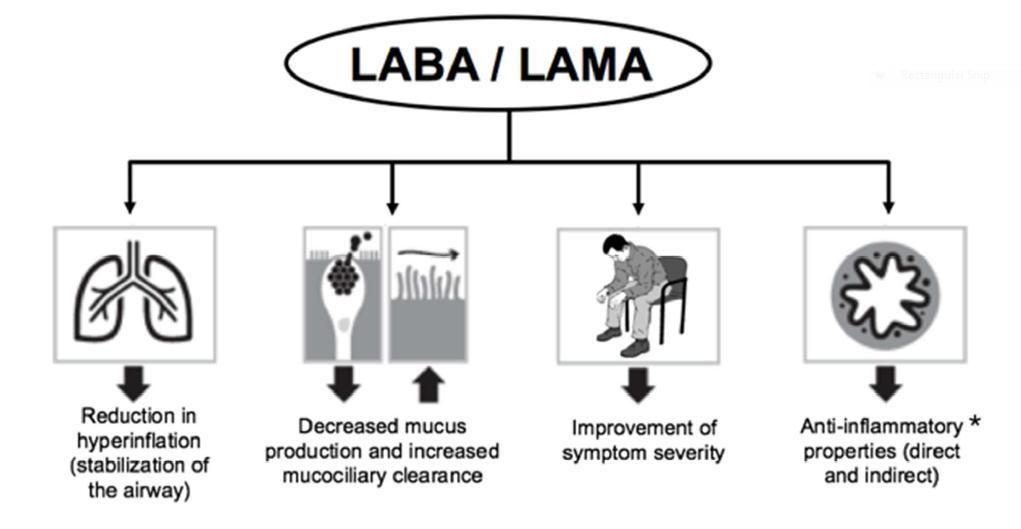 LABA/LAMA 为何能有效减少急性加重?