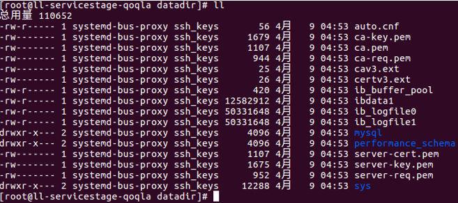 4 Docker on 图 4-14 datadir 目录 10. 验证一下数据库服务是否成功 Telnet 10.247.242.