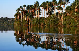 第 7 天 06/20: 馬多納多港 亞馬遜綠色之旅 早餐前搭手划船至桑多瓦爾湖湖區進行晨間生態觀察及賞鳥