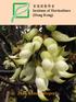 香港園藝學會 Institute of Horticulture (Hong Kong) 年報 2017 Annual Report