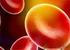 指 血 要 高 一 些 病 理 性 白 细 胞 增 多 常 见 于 急 性 化 脓 性 感 染 尿 毒 症 白 血 病 组 织 损 伤 急 性 出 血 等 病 理 性 白 细 胞 减 少 常 见 于 再 生 障 碍 性 贫 血 某 些 传 染 病 肝 硬 化 脾 功 能 亢 进 放 疗 化 疗 服