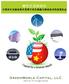 Microsoft Word - China FDI (中国对外直接投资)_V4.docx